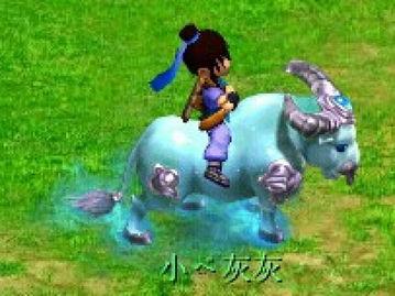 飞马最新爆料,揭秘科技巨头最新动态与未来趋势